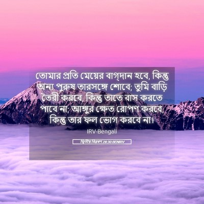 Picture 05 - দ্বিতীয় বিৱৰণ 28:30 BENIRV - তোমার প্রতি - Bible Verse Picture