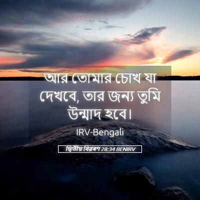 Picture 05 - দ্বিতীয় বিৱৰণ 28:34 BENIRV - আর তোমার চোখ যা - Bible Verse Picture