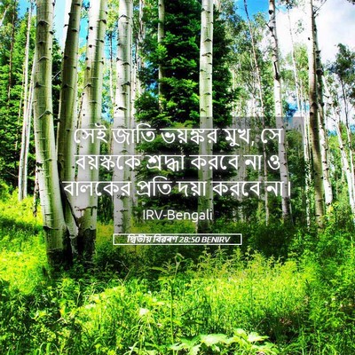 Picture 05 - দ্বিতীয় বিৱৰণ 28:50 BENIRV - সেই জাতি ভয়ঙ্কর - Bible Verse Picture