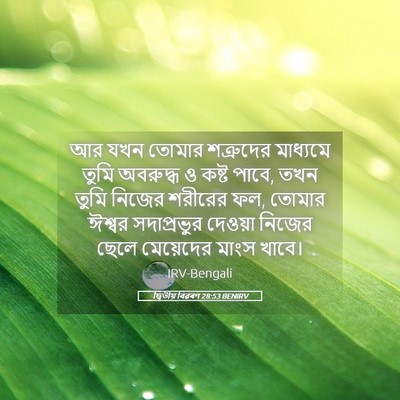 Picture 05 - দ্বিতীয় বিৱৰণ 28:53 BENIRV - আর যখন তোমার - Bible Verse Picture
