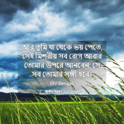 Picture 05 - দ্বিতীয় বিৱৰণ 28:60 BENIRV - আর তুমি যা থেকে ভয় - Bible Verse Picture
