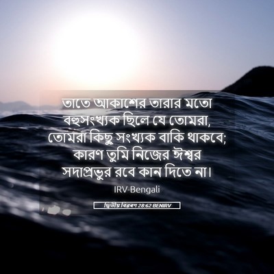 Picture 05 - দ্বিতীয় বিৱৰণ 28:62 BENIRV - তাতে আকাশের তারার - Bible Verse Picture