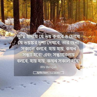 Picture 05 - দ্বিতীয় বিৱৰণ 28:67 BENIRV - তুমি হৃদয়ে যে ভয় - Bible Verse Picture