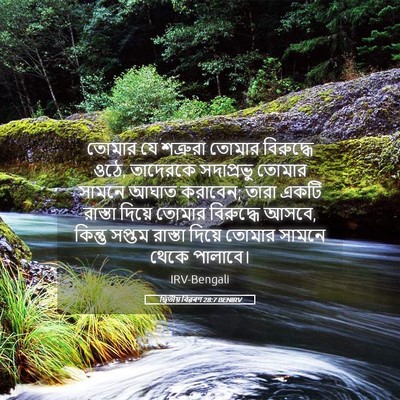 Picture 05 - দ্বিতীয় বিৱৰণ 28:7 BENIRV - তোমার যে শত্রুরা - Bible Verse Picture