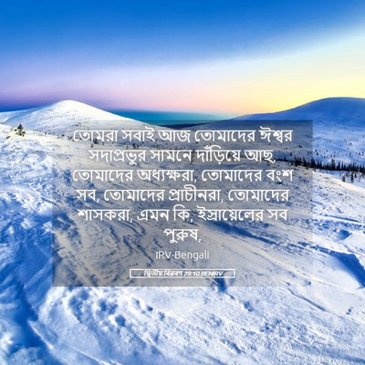 Picture 05 - দ্বিতীয় বিৱৰণ 29:10 BENIRV - তোমরা সবাই আজ - Bible Verse Picture