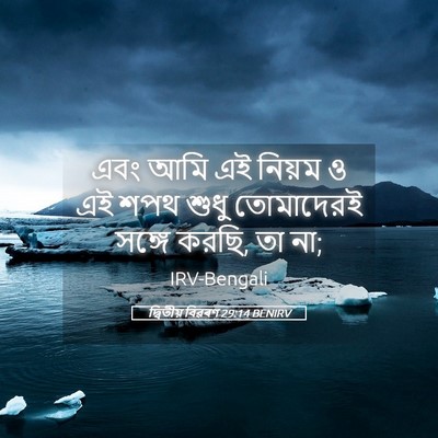 Picture 05 - দ্বিতীয় বিৱৰণ 29:14 BENIRV - এবং আমি এই নিয়ম ও - Bible Verse Picture