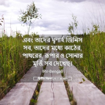 Picture 05 - দ্বিতীয় বিৱৰণ 29:17 BENIRV - এবং তাদের ঘৃণার্হ - Bible Verse Picture