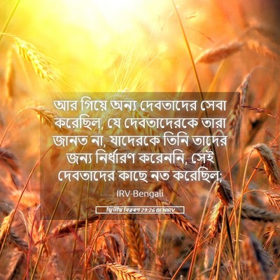 Picture 05 - দ্বিতীয় বিৱৰণ 29:26 BENIRV - আর গিয়ে অন্য - Bible Verse Picture