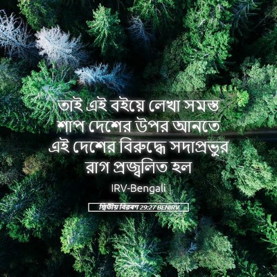 Picture 05 - দ্বিতীয় বিৱৰণ 29:27 BENIRV - তাই এই বইয়ে লেখা - Bible Verse Picture