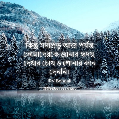 Picture 05 - দ্বিতীয় বিৱৰণ 29:4 BENIRV - কিন্তু সদাপ্রভু - Bible Verse Picture