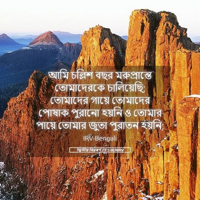 Picture 05 - দ্বিতীয় বিৱৰণ 29:5 BENIRV - আমি চল্লিশ বছর - Bible Verse Picture