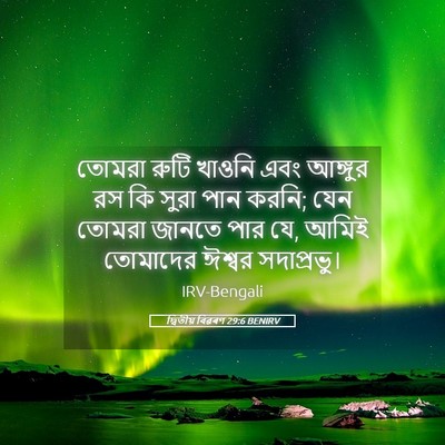 Picture 05 - দ্বিতীয় বিৱৰণ 29:6 BENIRV - তোমরা রুটি খাওনি - Bible Verse Picture