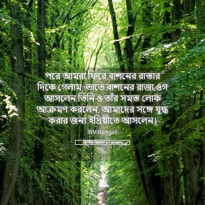Picture 05 - দ্বিতীয় বিৱৰণ 3:1 BENIRV - পরে আমরা ফিরে - Bible Verse Picture