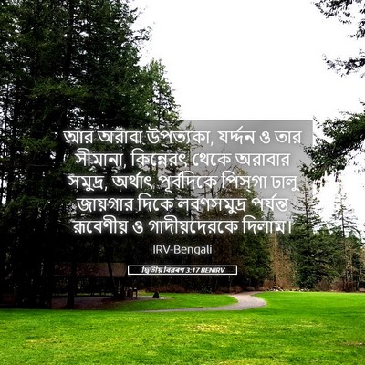 Picture 05 - দ্বিতীয় বিৱৰণ 3:17 BENIRV - আর অরাবা উপত্যকা, - Bible Verse Picture