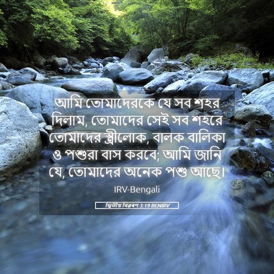 Picture 05 - দ্বিতীয় বিৱৰণ 3:19 BENIRV - আমি তোমাদেরকে যে - Bible Verse Picture
