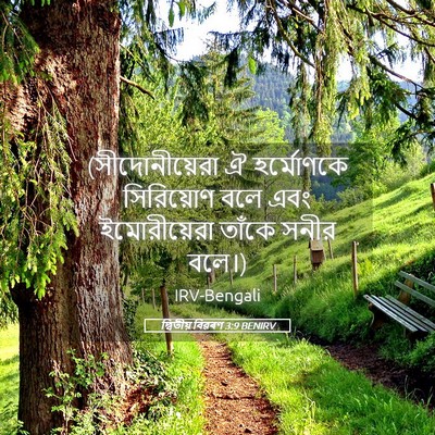 Picture 05 - দ্বিতীয় বিৱৰণ 3:9 BENIRV - (সীদোনীয়েরা ঐ - Bible Verse Picture