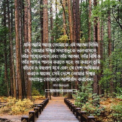 Picture 05 - দ্বিতীয় বিৱৰণ 30:16 BENIRV - যদি আমি আজ তোমাকে - Bible Verse Picture