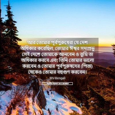 Picture 05 - দ্বিতীয় বিৱৰণ 30:5 BENIRV - আর তোমার - Bible Verse Picture