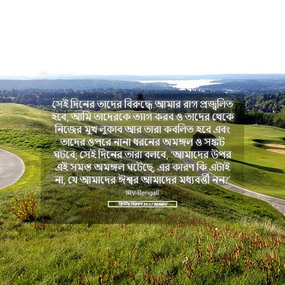 Picture 05 - দ্বিতীয় বিৱৰণ 31:17 BENIRV - সেই দিনের তাদের - Bible Verse Picture