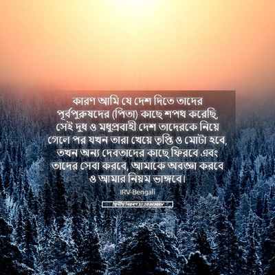 Picture 05 - দ্বিতীয় বিৱৰণ 31:20 BENIRV - কারণ আমি যে দেশ - Bible Verse Picture