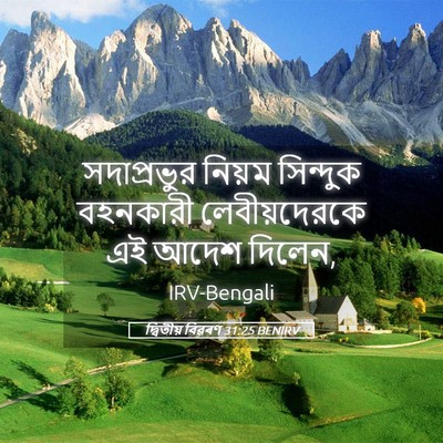 Picture 05 - দ্বিতীয় বিৱৰণ 31:25 BENIRV - সদাপ্রভুর নিয়ম - Bible Verse Picture