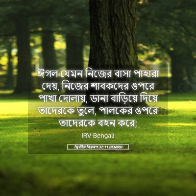 Picture 05 - দ্বিতীয় বিৱৰণ 32:11 BENIRV - ঈগল যেমন নিজের - Bible Verse Picture