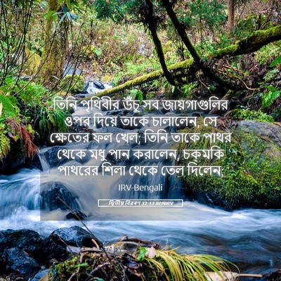 Picture 05 - দ্বিতীয় বিৱৰণ 32:13 BENIRV - তিনি পৃথিবীর উঁচু - Bible Verse Picture