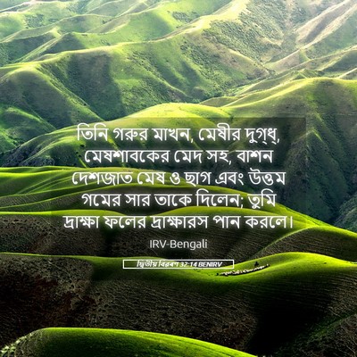 Picture 05 - দ্বিতীয় বিৱৰণ 32:14 BENIRV - তিনি গরুর মাখন, - Bible Verse Picture
