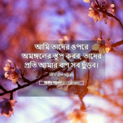 Picture 05 - দ্বিতীয় বিৱৰণ 32:23 BENIRV - আমি তাদের ওপরে - Bible Verse Picture