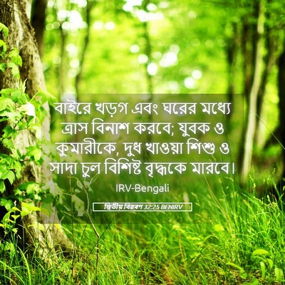 Picture 05 - দ্বিতীয় বিৱৰণ 32:25 BENIRV - বাইরে খড়গ এবং - Bible Verse Picture