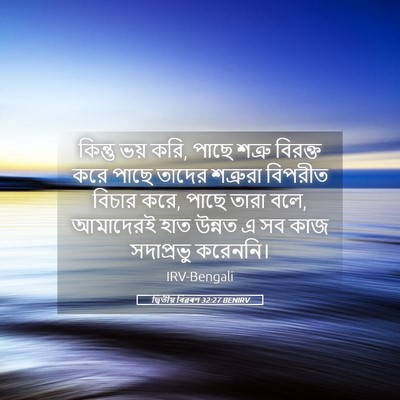 Picture 05 - দ্বিতীয় বিৱৰণ 32:27 BENIRV - কিন্তু ভয় করি, - Bible Verse Picture