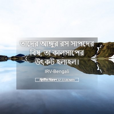 Picture 05 - দ্বিতীয় বিৱৰণ 32:33 BENIRV - তাদের আঙ্গুর রস - Bible Verse Picture