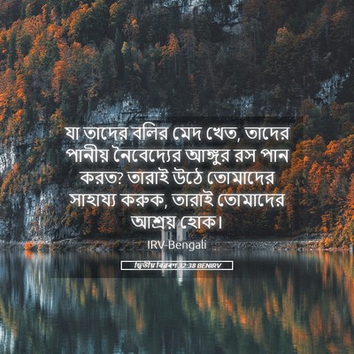 Picture 05 - দ্বিতীয় বিৱৰণ 32:38 BENIRV - যা তাদের বলির মেদ - Bible Verse Picture