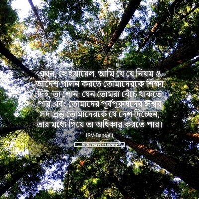 Picture 05 - দ্বিতীয় বিৱৰণ 4:1 BENIRV - এখন, হে ইস্রায়েল, - Bible Verse Picture
