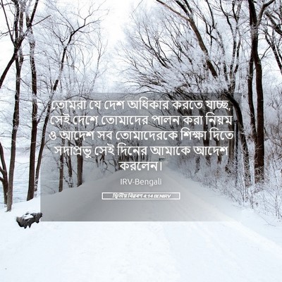 Picture 05 - দ্বিতীয় বিৱৰণ 4:14 BENIRV - তোমরা যে দেশ - Bible Verse Picture