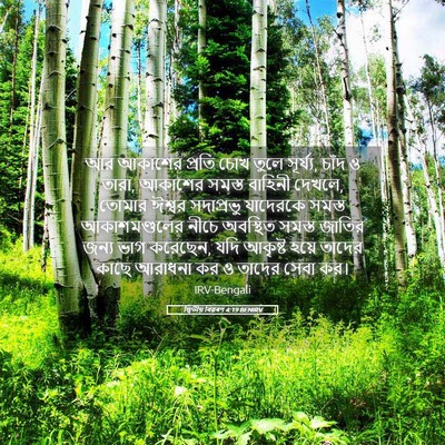 Picture 05 - দ্বিতীয় বিৱৰণ 4:19 BENIRV - আর আকাশের প্রতি - Bible Verse Picture