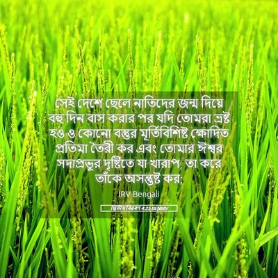 Picture 05 - দ্বিতীয় বিৱৰণ 4:25 BENIRV - সেই দেশে ছেলে - Bible Verse Picture
