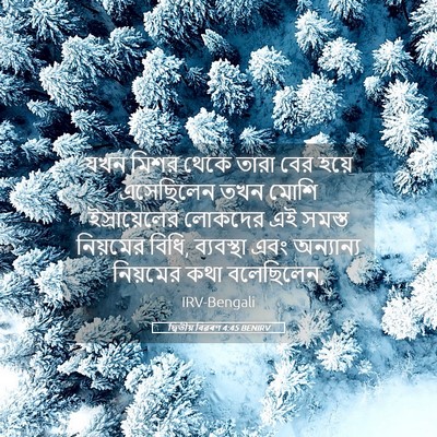Picture 05 - দ্বিতীয় বিৱৰণ 4:45 BENIRV - যখন মিশর থেকে তারা - Bible Verse Picture