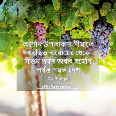 Picture 05 - দ্বিতীয় বিৱৰণ 4:48 BENIRV - অর্ণোন উপত্যকার - Bible Verse Picture