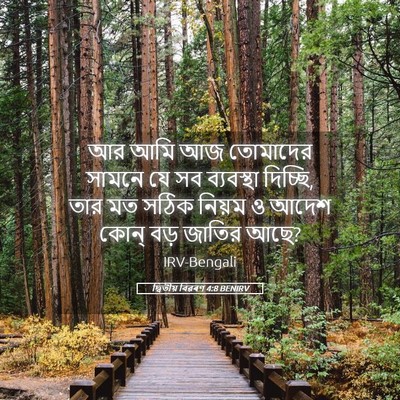 Picture 05 - দ্বিতীয় বিৱৰণ 4:8 BENIRV - আর আমি আজ তোমাদের - Bible Verse Picture