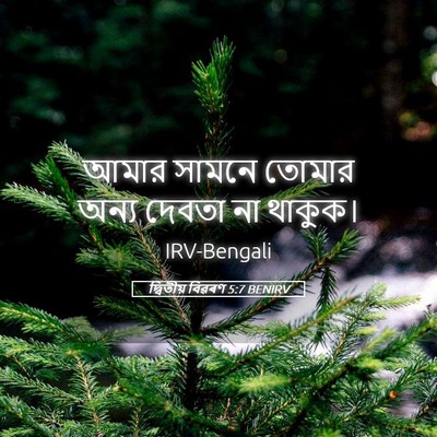 Picture 05 - দ্বিতীয় বিৱৰণ 5:7 BENIRV - আমার সামনে তোমার - Bible Verse Picture