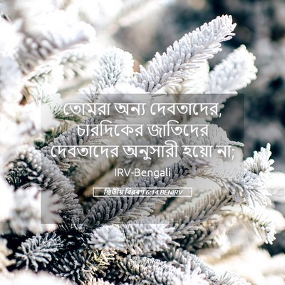 Picture 05 - দ্বিতীয় বিৱৰণ 6:14 BENIRV - তোমরা অন্য - Bible Verse Picture