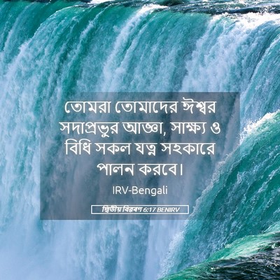 Picture 05 - দ্বিতীয় বিৱৰণ 6:17 BENIRV - তোমরা তোমাদের - Bible Verse Picture