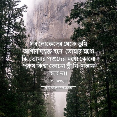 Picture 05 - দ্বিতীয় বিৱৰণ 7:14 BENIRV - সব লোকেদের থেকে - Bible Verse Picture