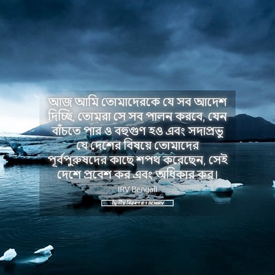 Picture 05 - দ্বিতীয় বিৱৰণ 8:1 BENIRV - আজ আমি তোমাদেরকে - Bible Verse Picture