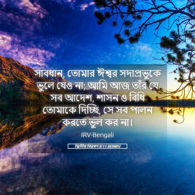 Picture 05 - দ্বিতীয় বিৱৰণ 8:11 BENIRV - সাবধান, তোমার - Bible Verse Picture