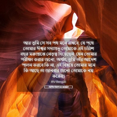 Picture 05 - দ্বিতীয় বিৱৰণ 8:2 BENIRV - আর তুমি সে সব পথ - Bible Verse Picture
