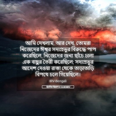 Picture 05 - দ্বিতীয় বিৱৰণ 9:16 BENIRV - আমি দেখলাম, আর দেখ, - Bible Verse Picture