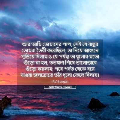 Picture 05 - দ্বিতীয় বিৱৰণ 9:21 BENIRV - আর আমি তোমাদের পাপ, - Bible Verse Picture