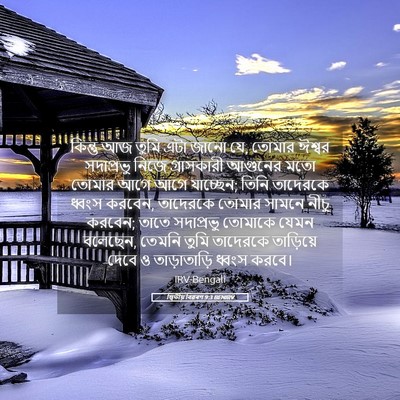 Picture 05 - দ্বিতীয় বিৱৰণ 9:3 BENIRV - কিন্তু আজ তুমি এটা - Bible Verse Picture